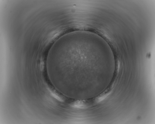 X0000091960080200709131236