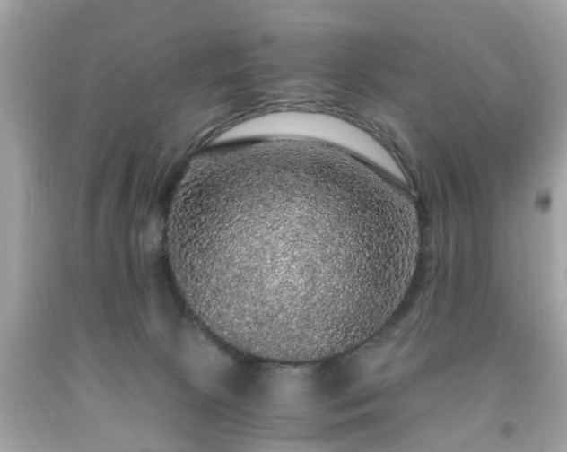 X0000091960081200709131236