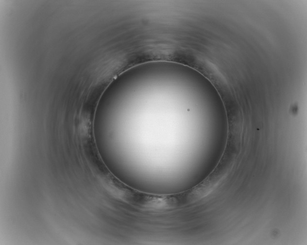 X0000091960083200709131236