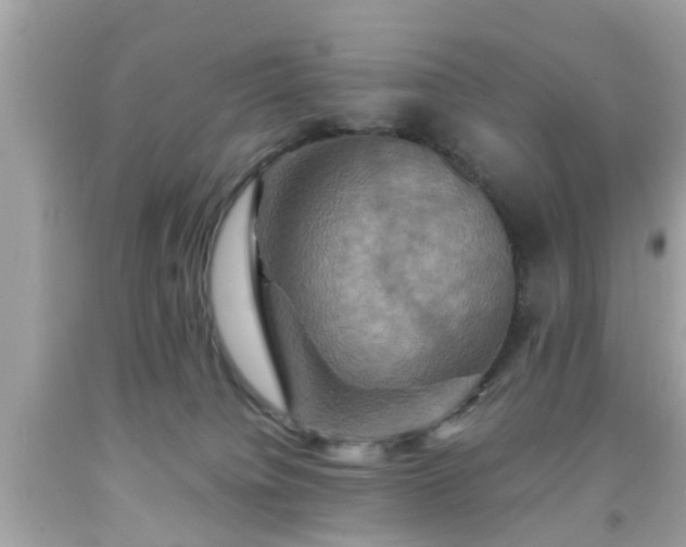 X0000091960084200709131236