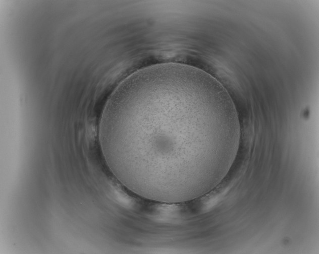 X0000091960085200709131236