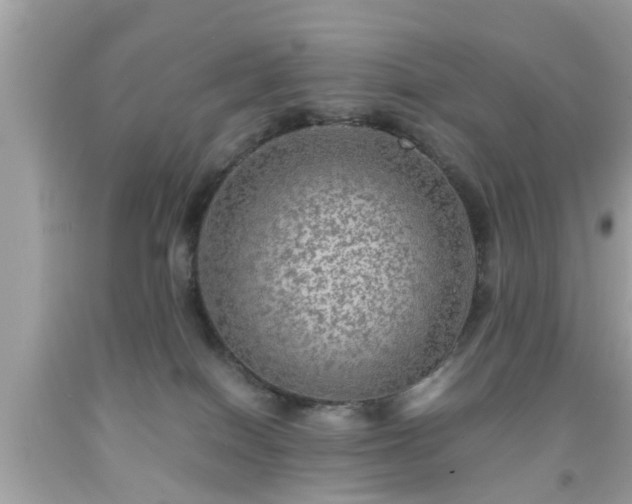 X0000091960086200709131236