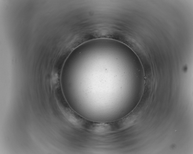 X0000091960087200709131236