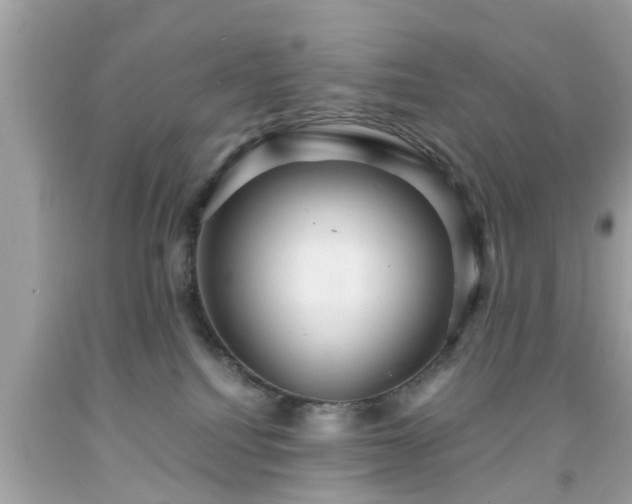 X0000091960088200709131236