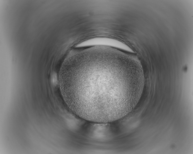 X0000091960089200709131236