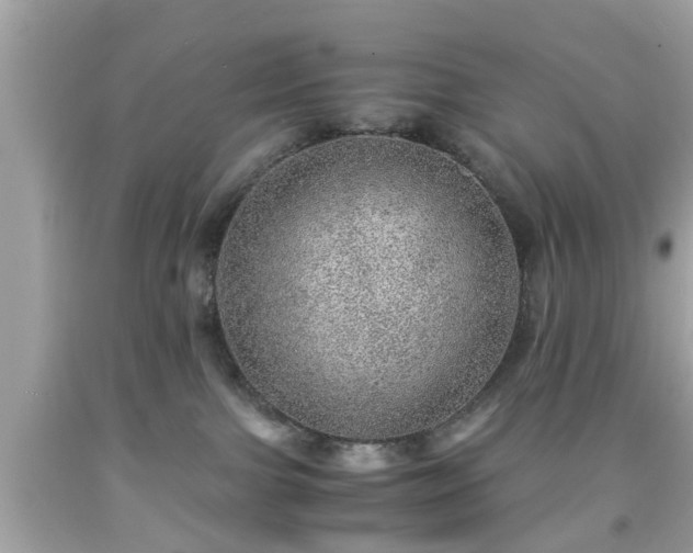 X0000091960091200709131236