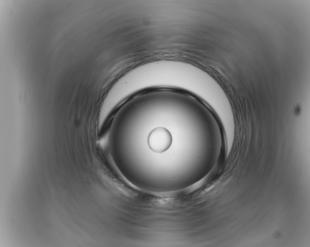 X0000091960092200709131236