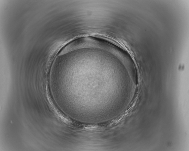 X0000091960097200709131235