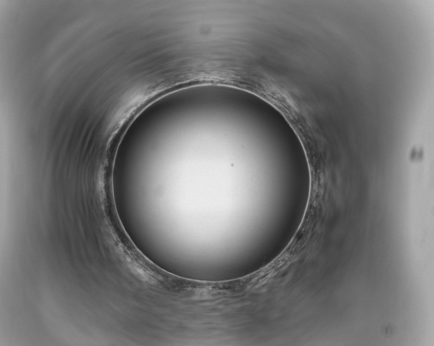 X0000091960098200709131235