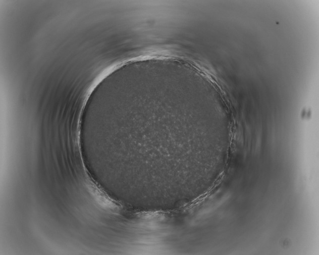 X0000091960100200709131235