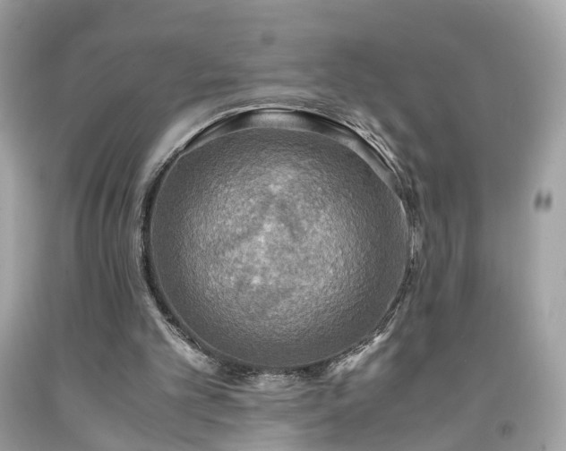 X0000091960101200709131235