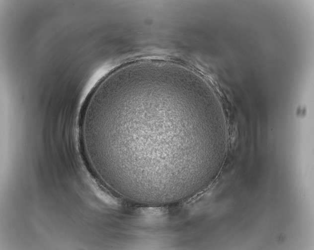 X0000091960102200709131235