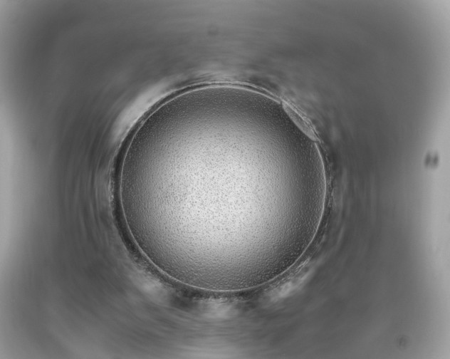 X0000091960103200709131235