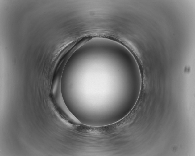 X0000091960105200709131235