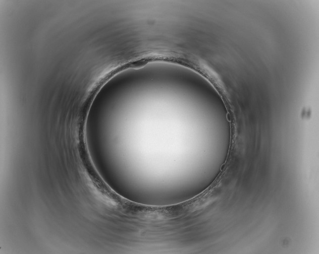 X0000091960106200709131235