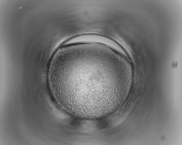 X0000091960107200709131235