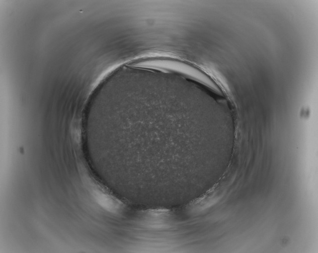 X0000091960108200709131235