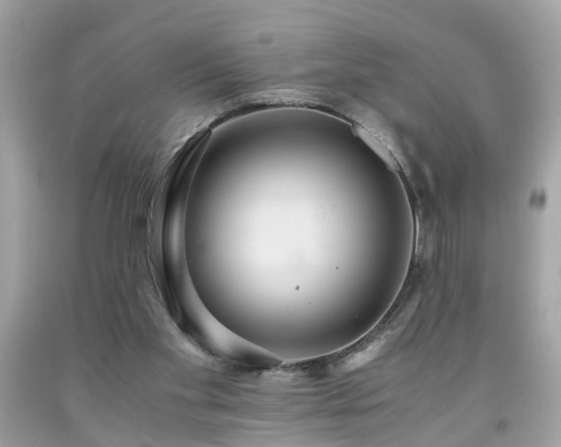 X0000091960109200709131235