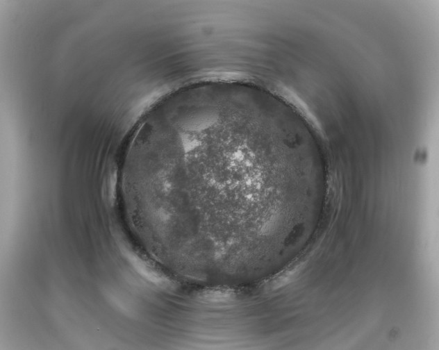 X0000091960110200709131235