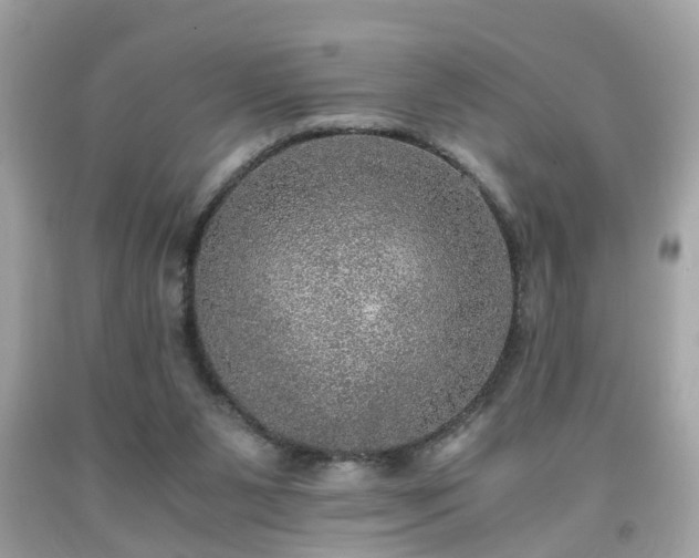 X0000091960111200709131235