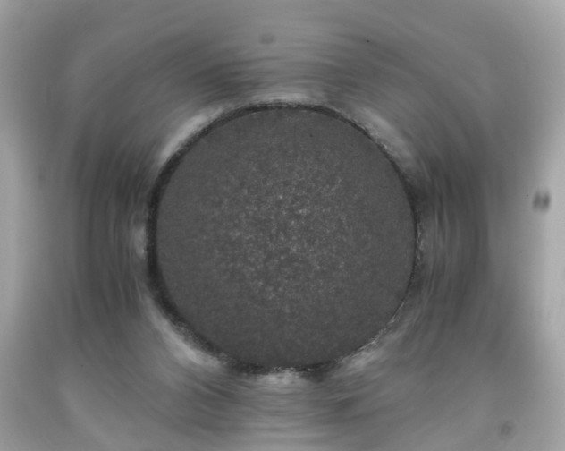 X0000091960112200709131235