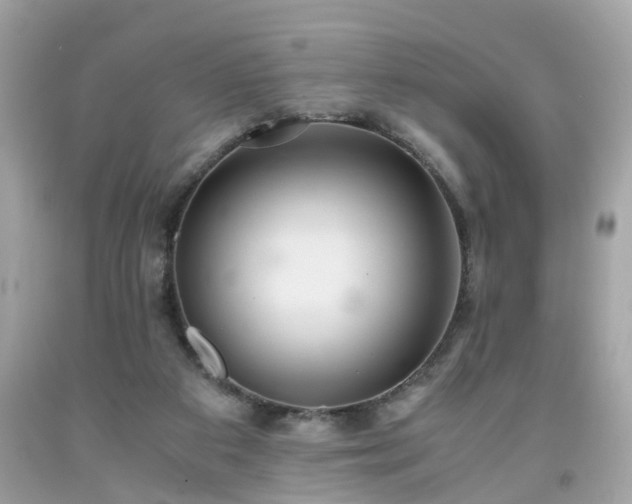 X0000091960113200709131235