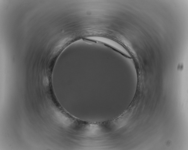 X0000091960114200709131235