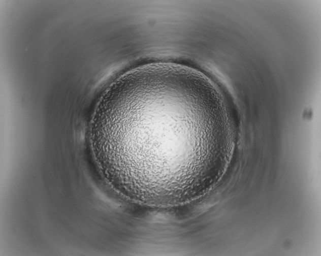 X0000091960115200709131235