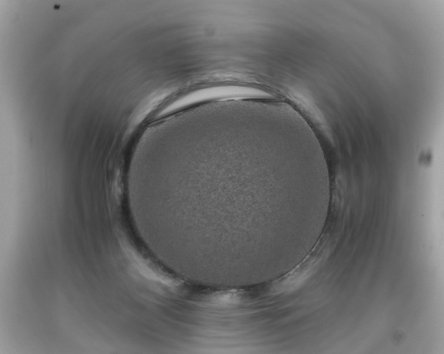 X0000091960116200709131235