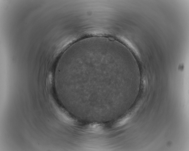 X0000091960117200709131235