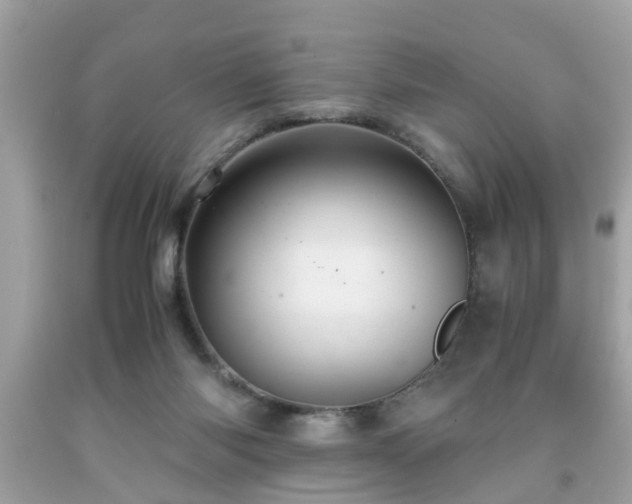 X0000091960118200709131235