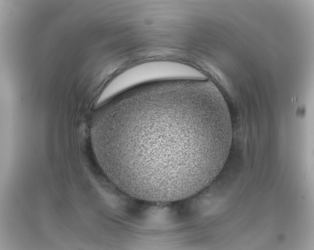 X0000091960119200709131235