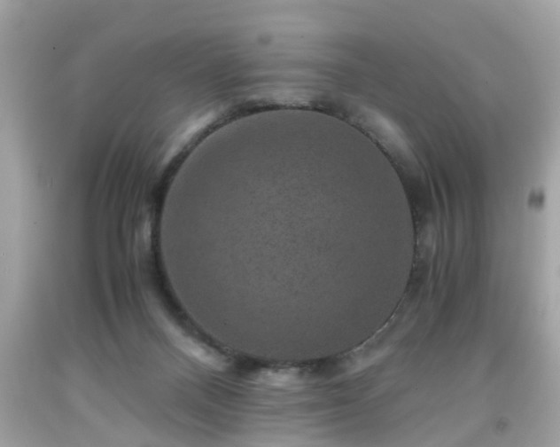 X0000091960120200709131235