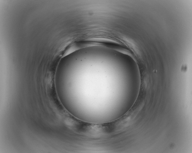 X0000091960121200709131235