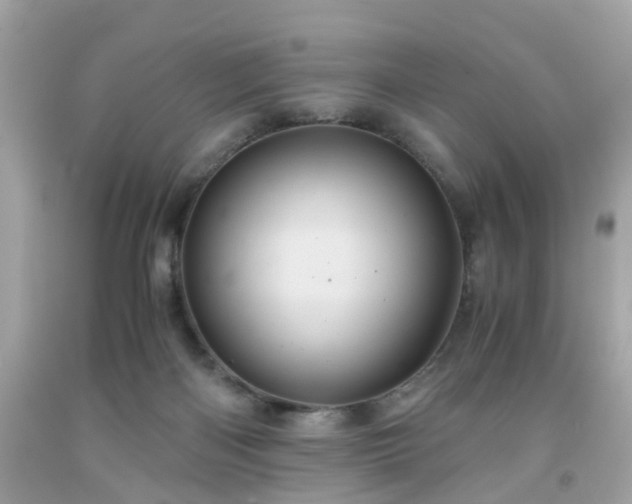 X0000091960122200709131235