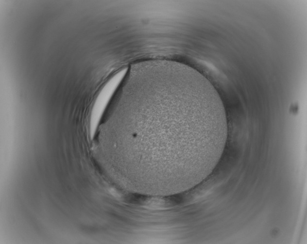 X0000091960123200709131235