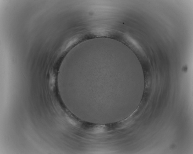 X0000091960124200709131235