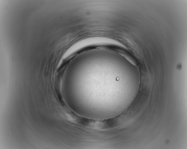 X0000091960125200709131235