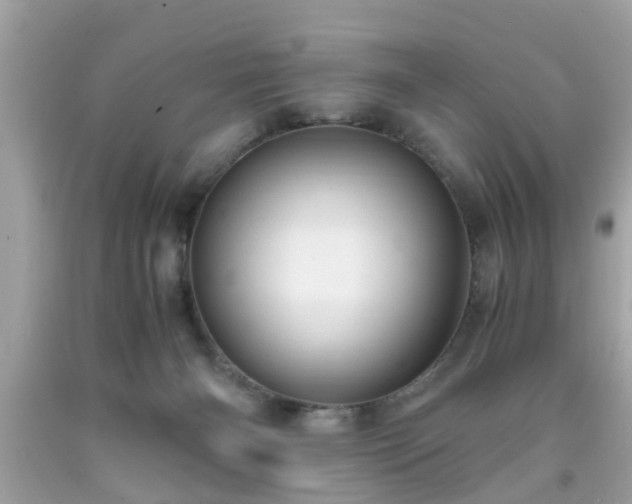 X0000091960126200709131235