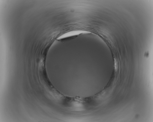 X0000091960127200709131235