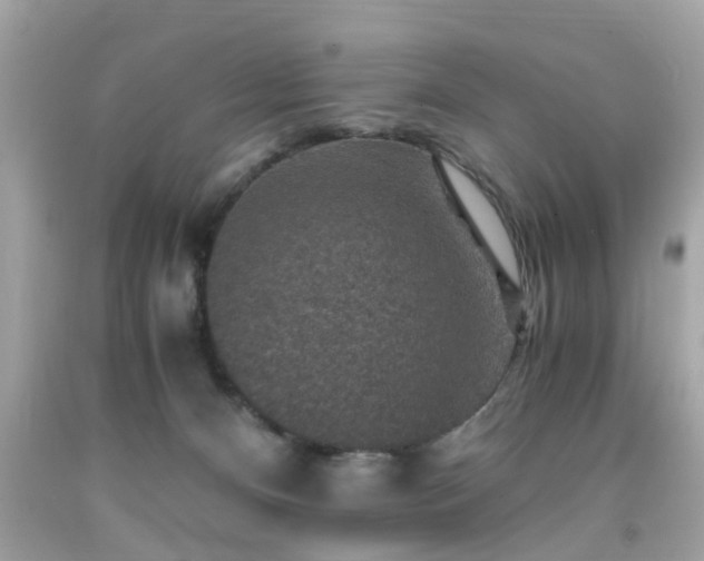 X0000091960128200709131235