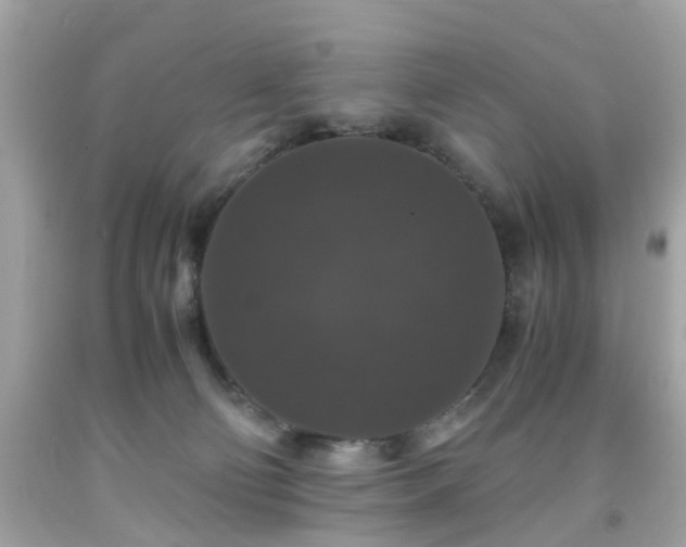 X0000091960130200709131235