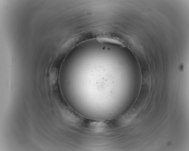 X0000091960133200709131235