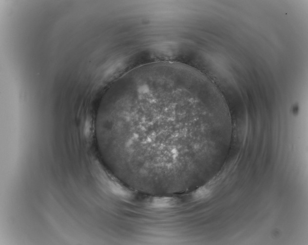 X0000091960134200709131235