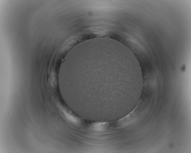 X0000091960136200709131234