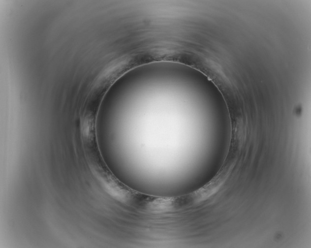 X0000091960138200709131234