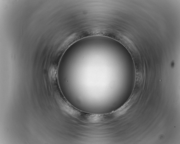 X0000091960142200709131234