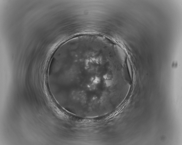 X0000091960145200709131234