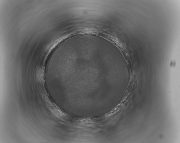 X0000091960146200709131234