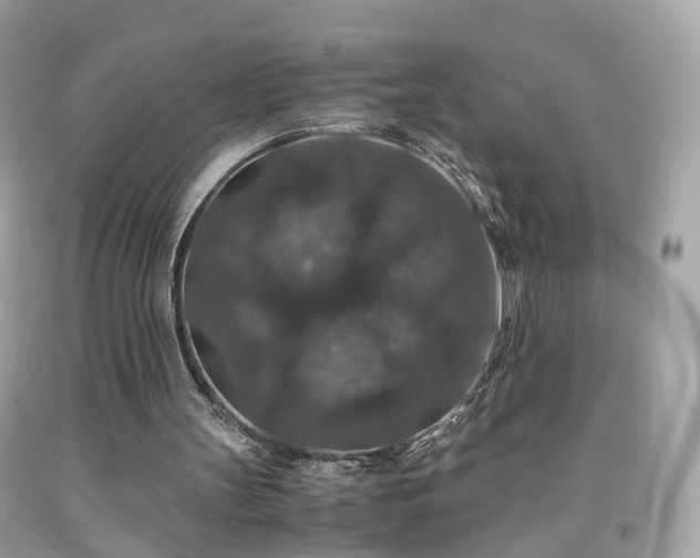 X0000091960147200709131234